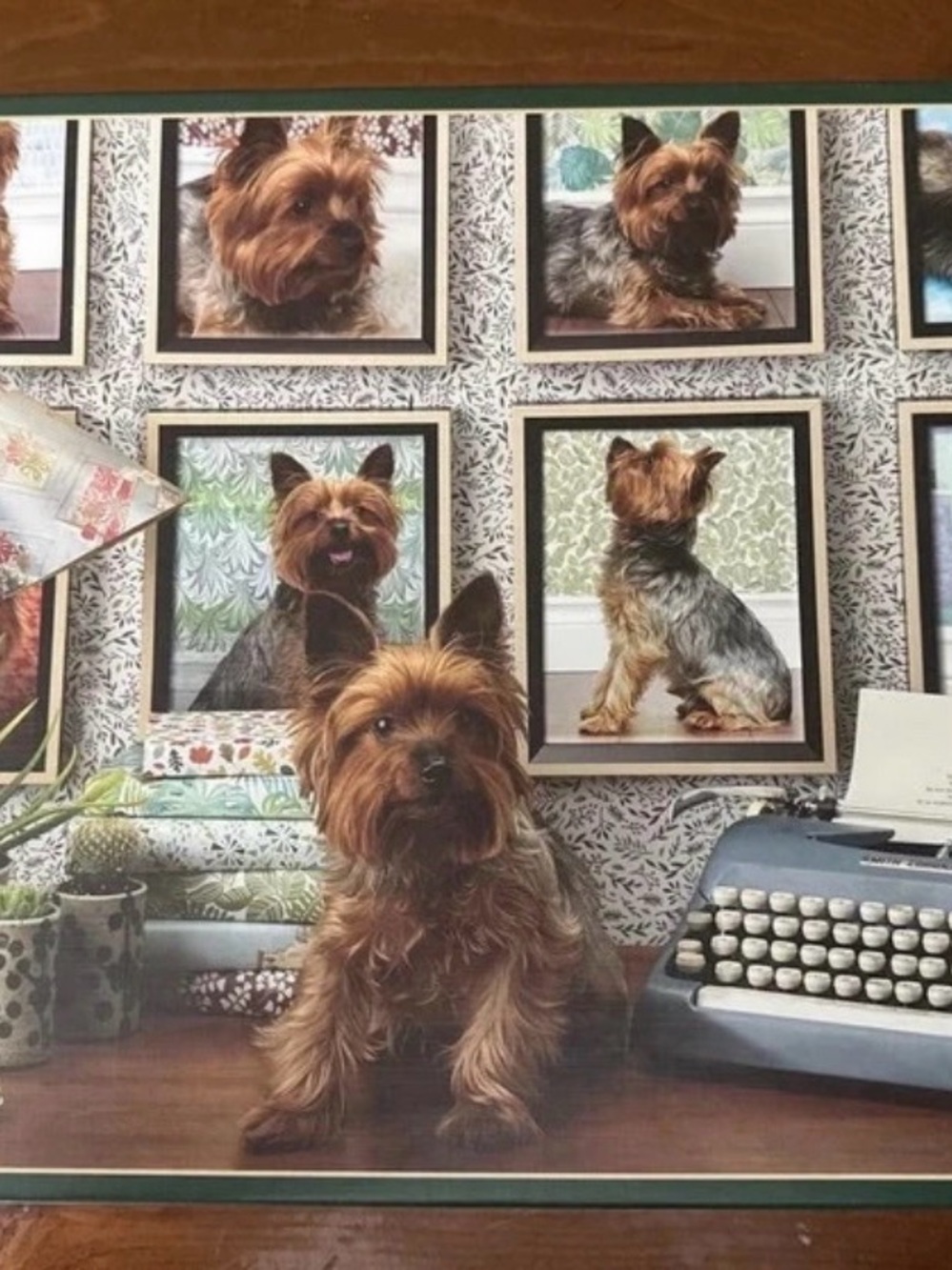 Cobble Hill Jigsaw Puzzle “Yorkies Are My Type” 1000 pieces COMPLETE - NWOT